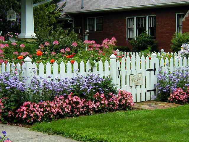 http://www.gardening.cornell.edu/homegardening/feature_gardening/img/using_color/01_lg.jpg